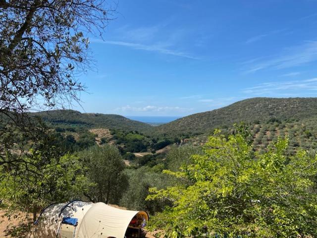 Divacamp Glamping Resort Campiglia Marittima Luaran gambar