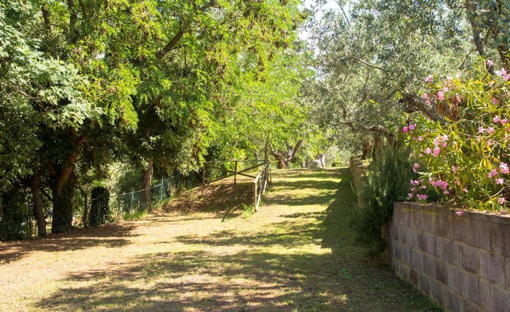 Divacamp Glamping Resort Campiglia Marittima Luaran gambar